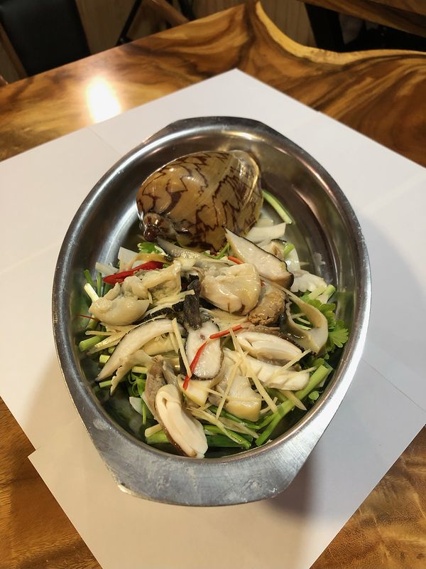 Ốc giác hấp gừng thái lát trong tô kèm rau thơm