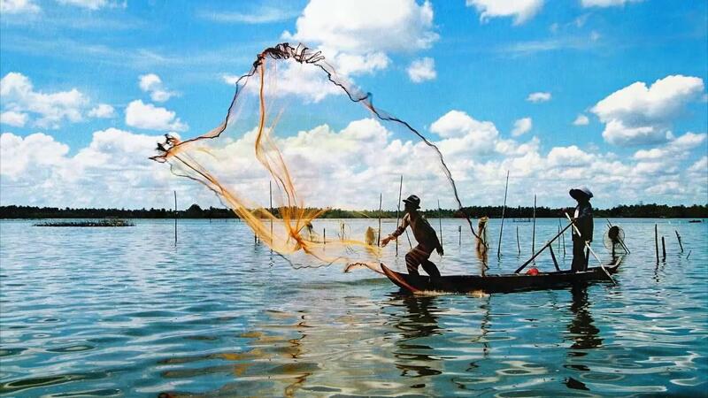 Người dân giăng lưới bắt cua trên vùng sông nước Cà Mau